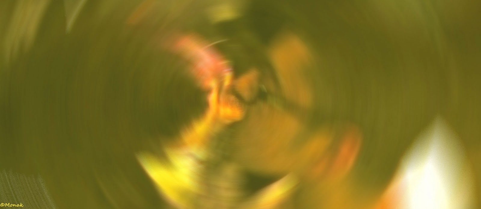 rencontre gay raiatea