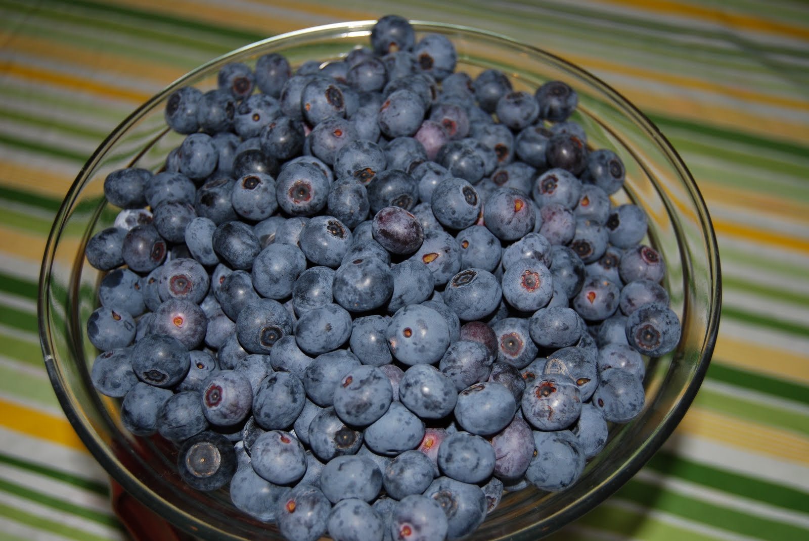 Louisiana Agritourism Blueberries for Sale