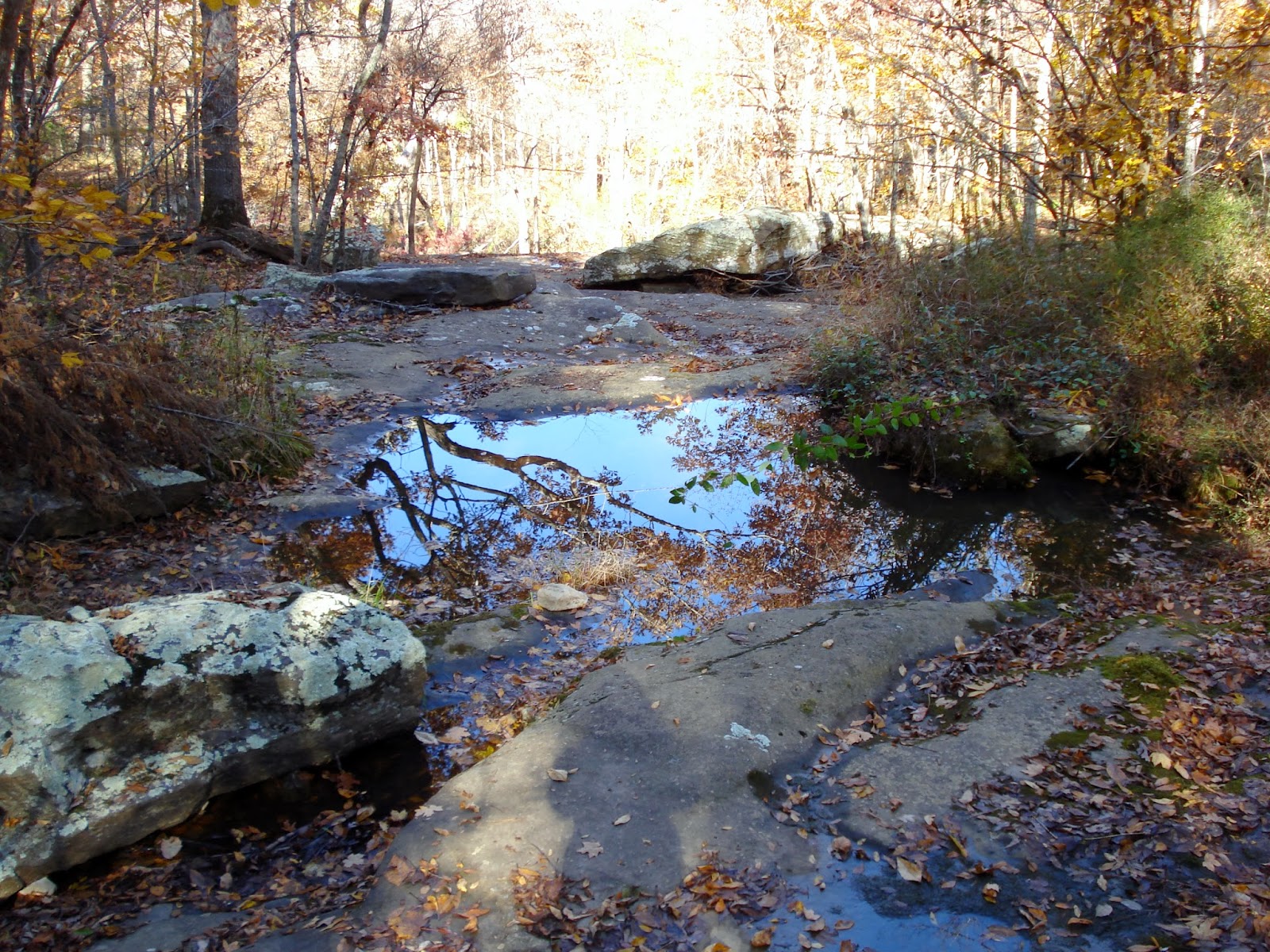 Experiencing Illinois Rocky Bluff Trail