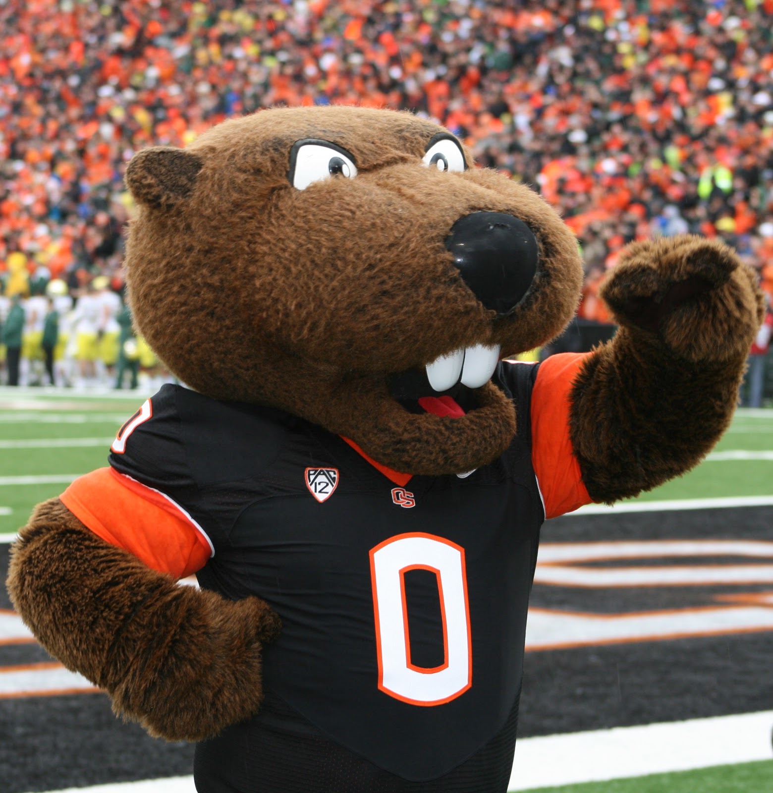 Ronald Borst Journalism Civil War 2012 Beavers vs. Ducks
