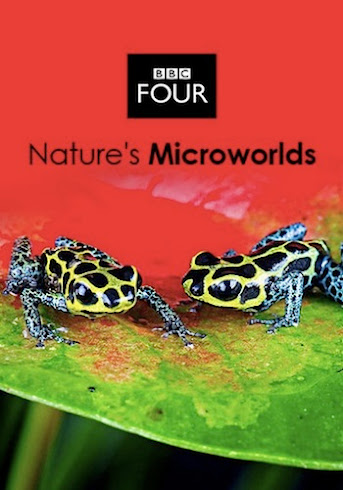 Natures Microworlds-DVD