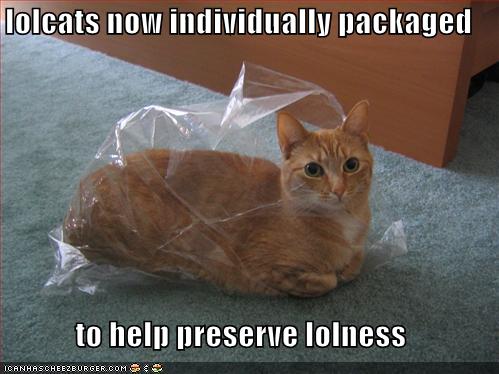 funny-pictures-your-lolcat-is-fresh-and-individually-packaged.jpg