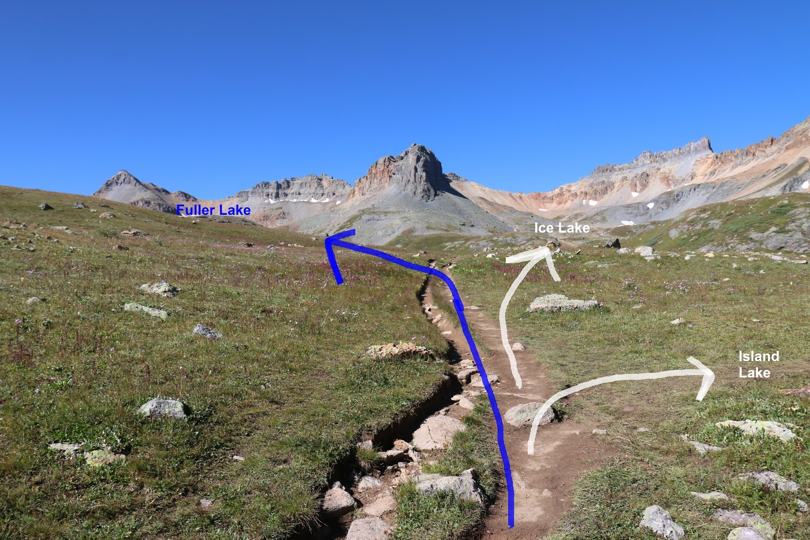 Lena G Manchester, Pittsburgh, PA Rovercom