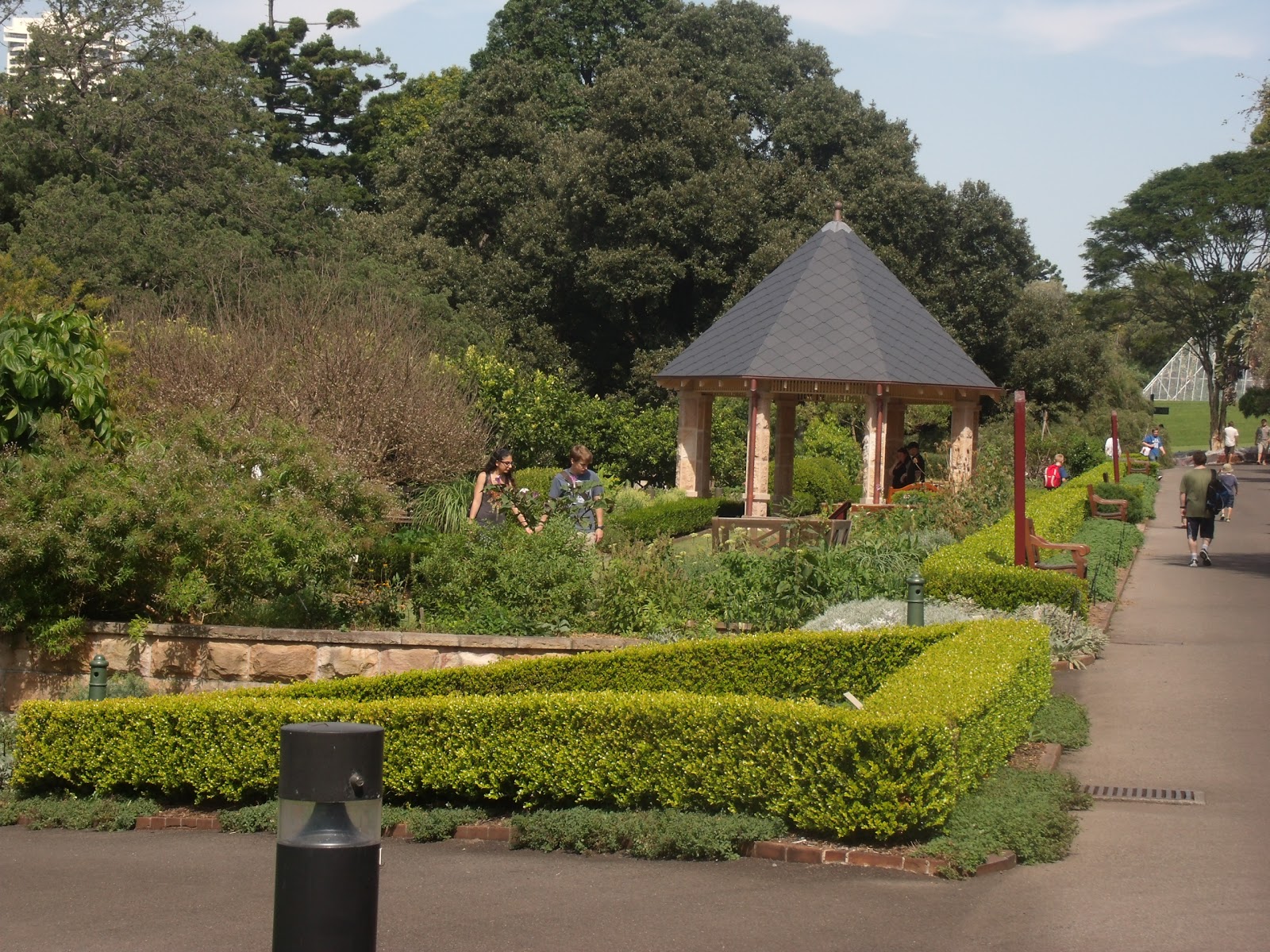 Sydney travel Sydney garden free to see Sydney Botanical Gardens