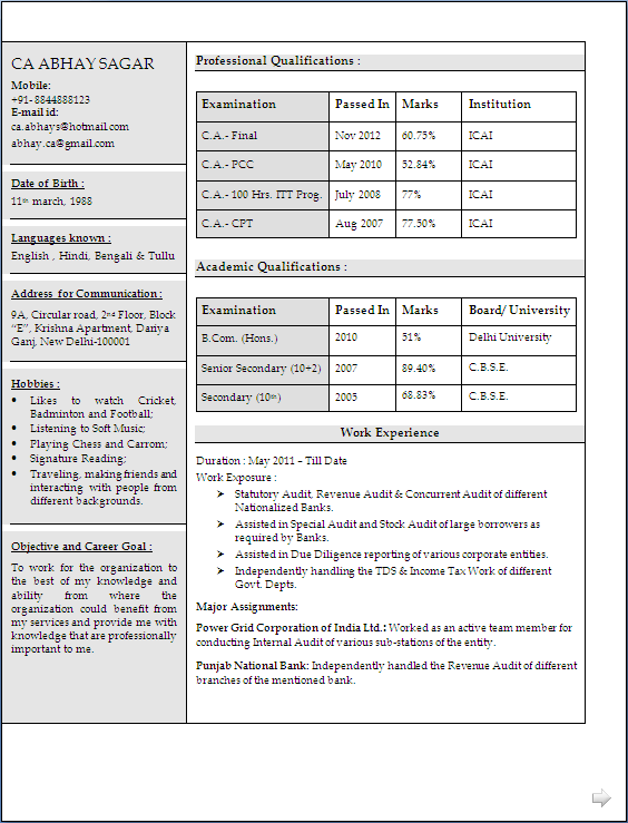 Indian chartered accountant resume format