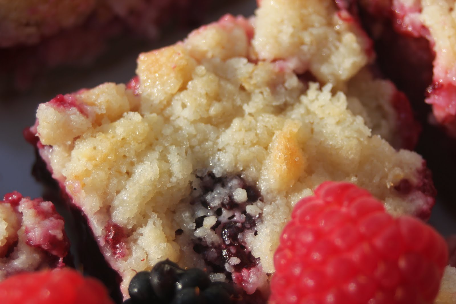 Thyme In Our Kitchen Blackberry and Raspberry Pie Bars