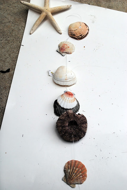 seashell windchime