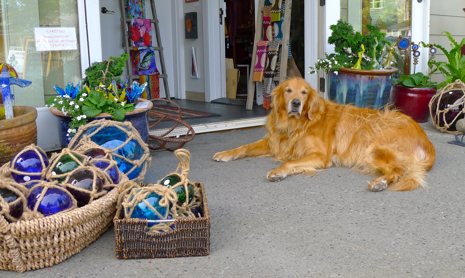 rencontres femme islande