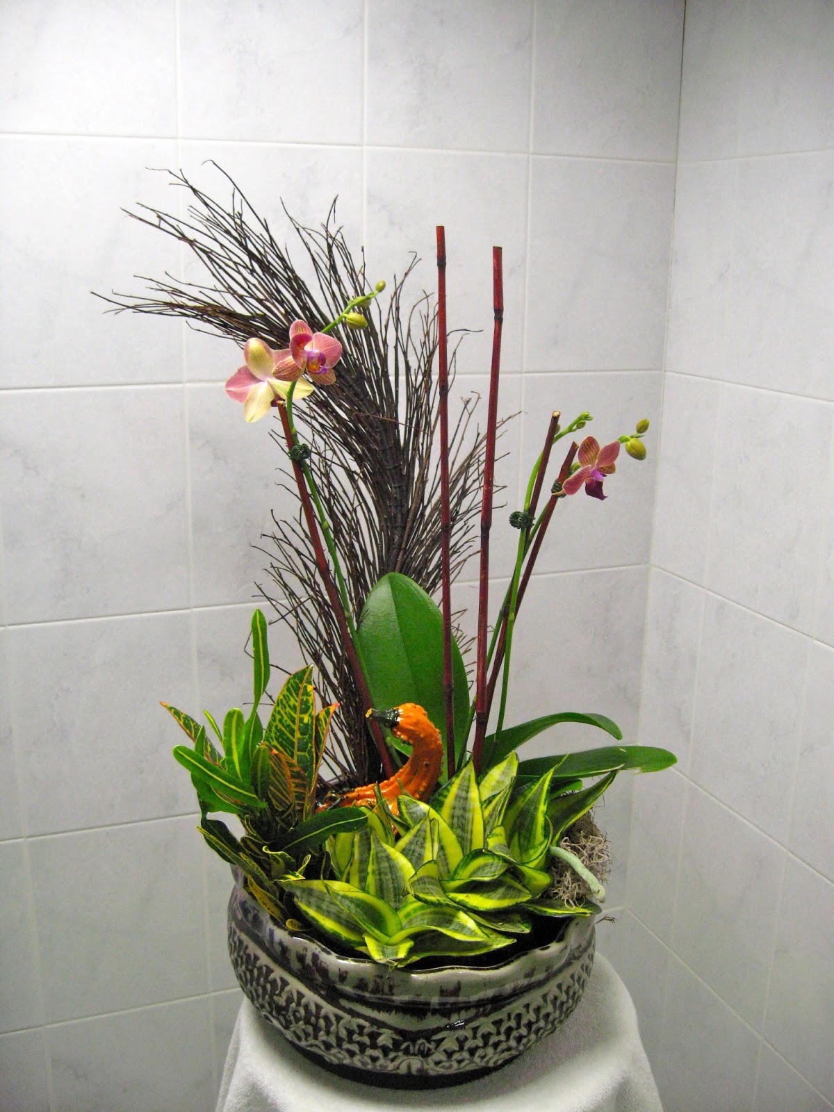 PDI Plants Blog: Flowering Rotational Living Arrangements Billerica ... PDI Plants Blog: Flowering Rotational Living Arrangements Billerica ...