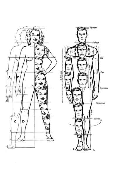 Come Disegnare Il Corpo Di Una Donna