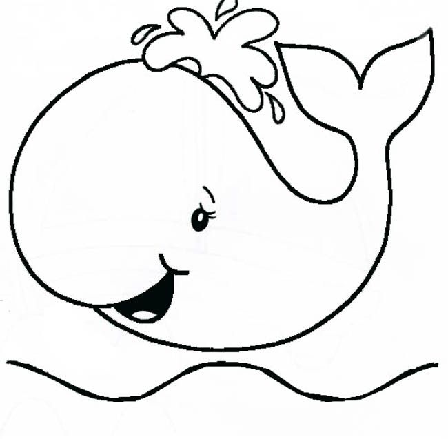 Dibujos De Animales Marinos Para Pintar Colorear Imagenes