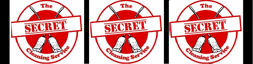 The Secret Cleaning Service Inc.