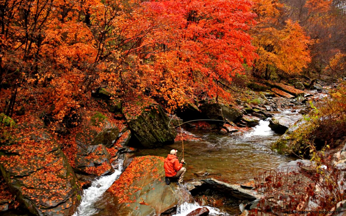 Fly Fishing Wallpapers Wallpaper Cave Fly Fishing Wallpapers Wallpaper Cave