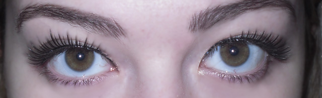 lucy wood eyelash palace