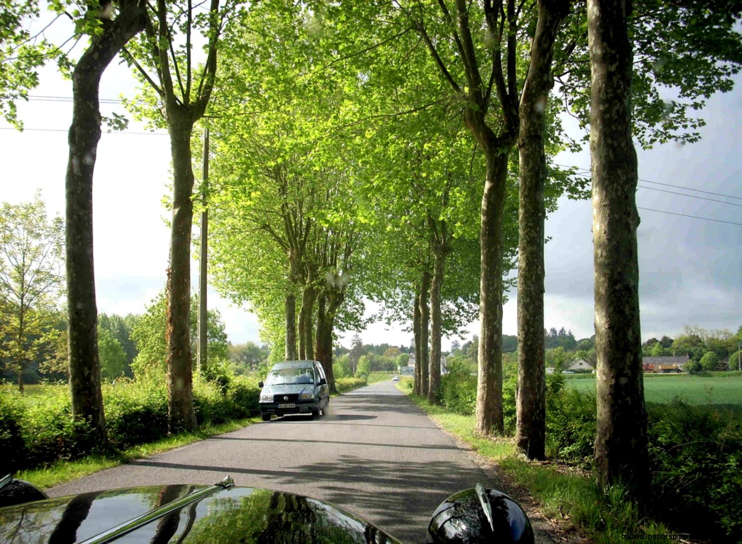 Dollhouse French Countryside Murals Dollhouse French Countryside Murals