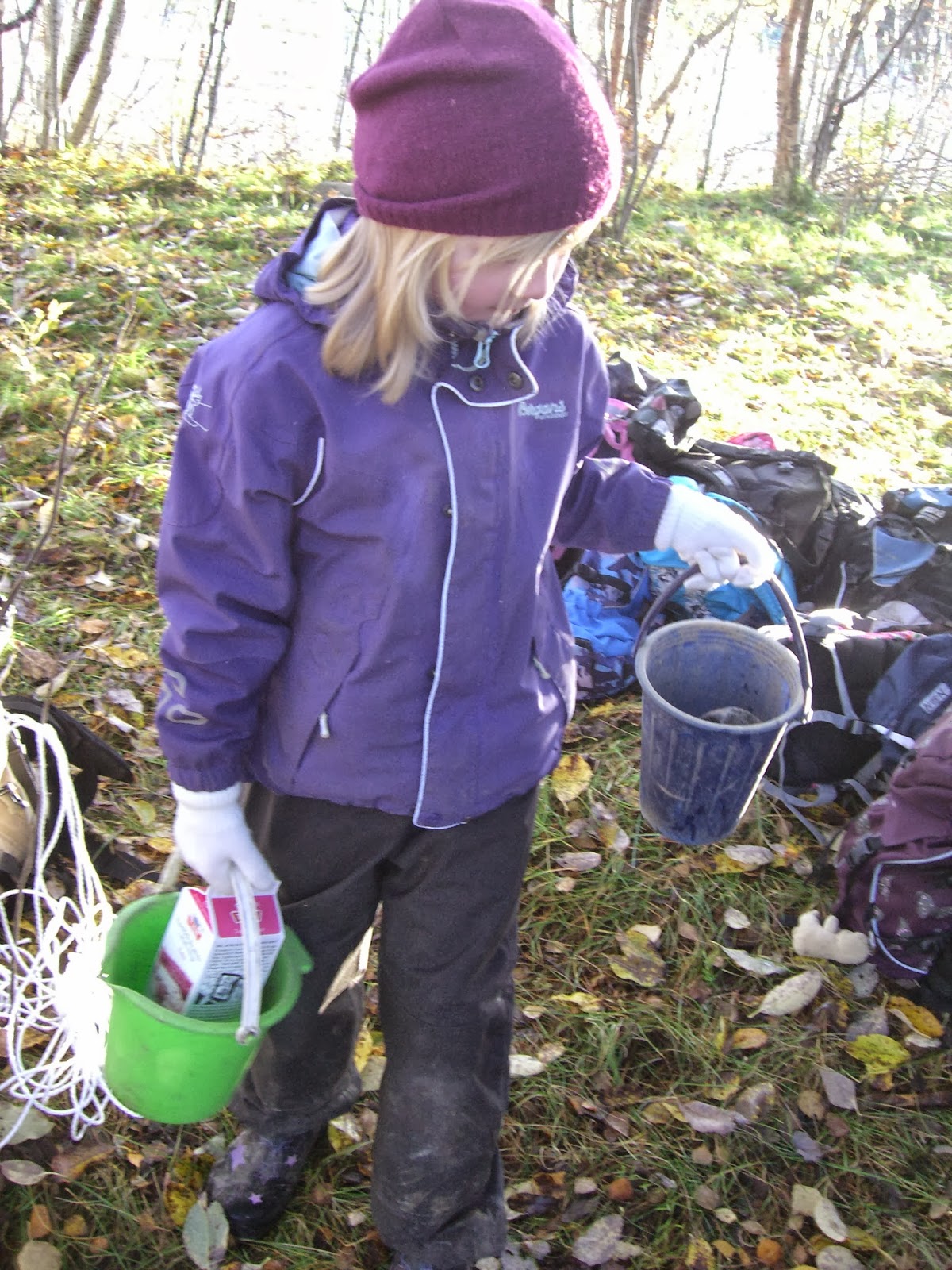 planetringen tung stein barnehage melk steiner kartong