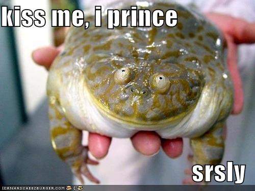 [Bild: Funny+Frog+Photos_1.jpg]