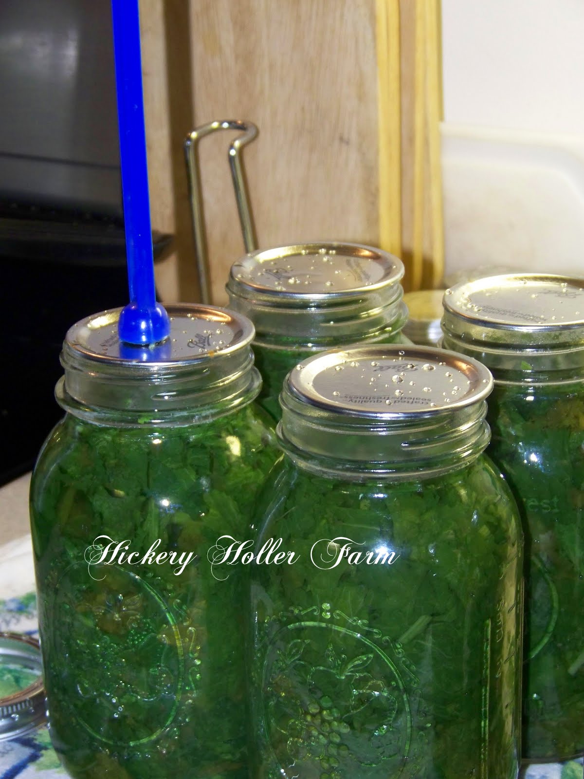 Hickery Holler Farm Canning Greens