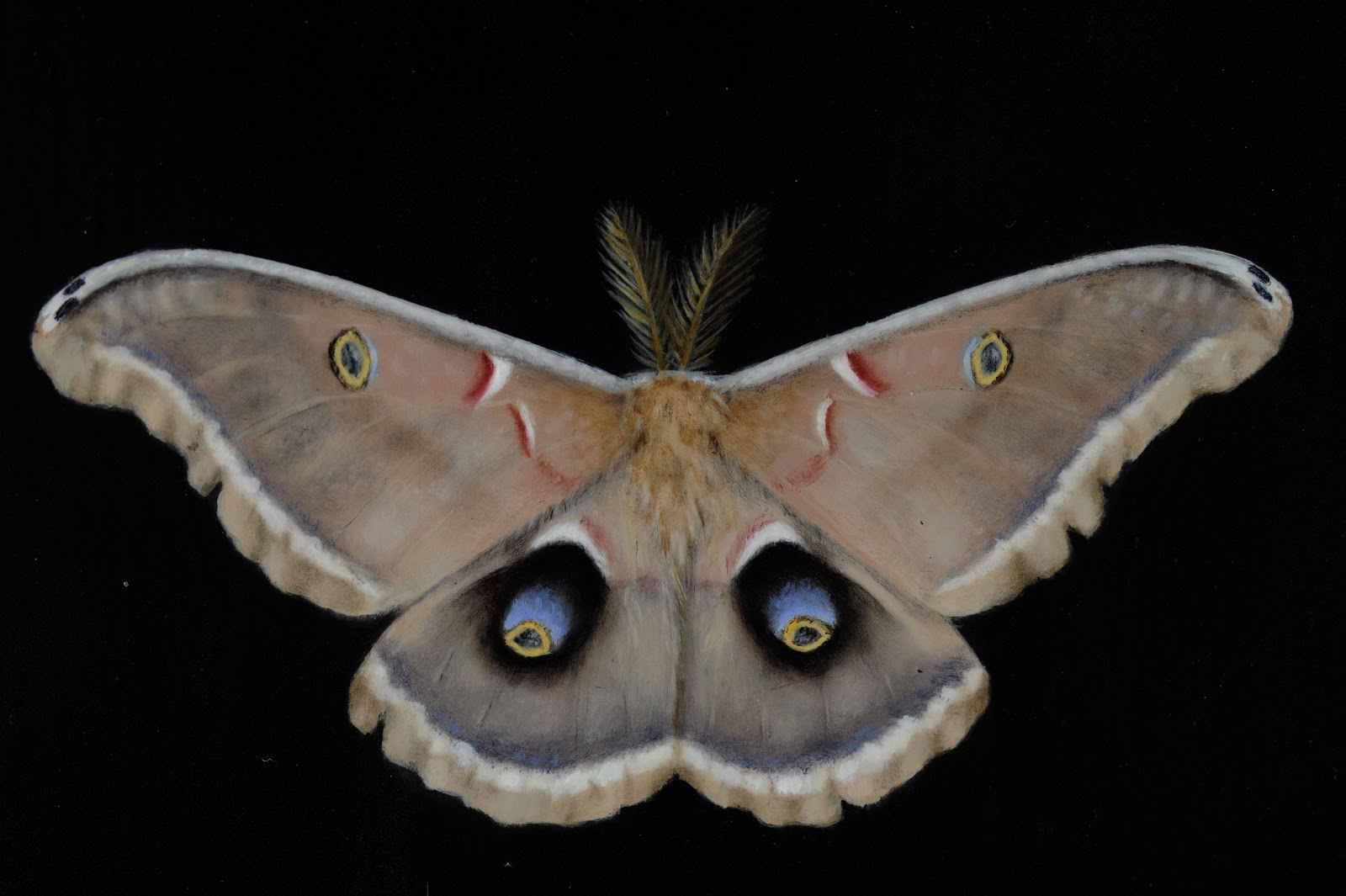 A Celebration Of Diversity