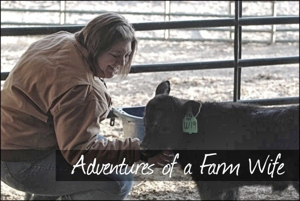 Adventures of a Farm Wife
