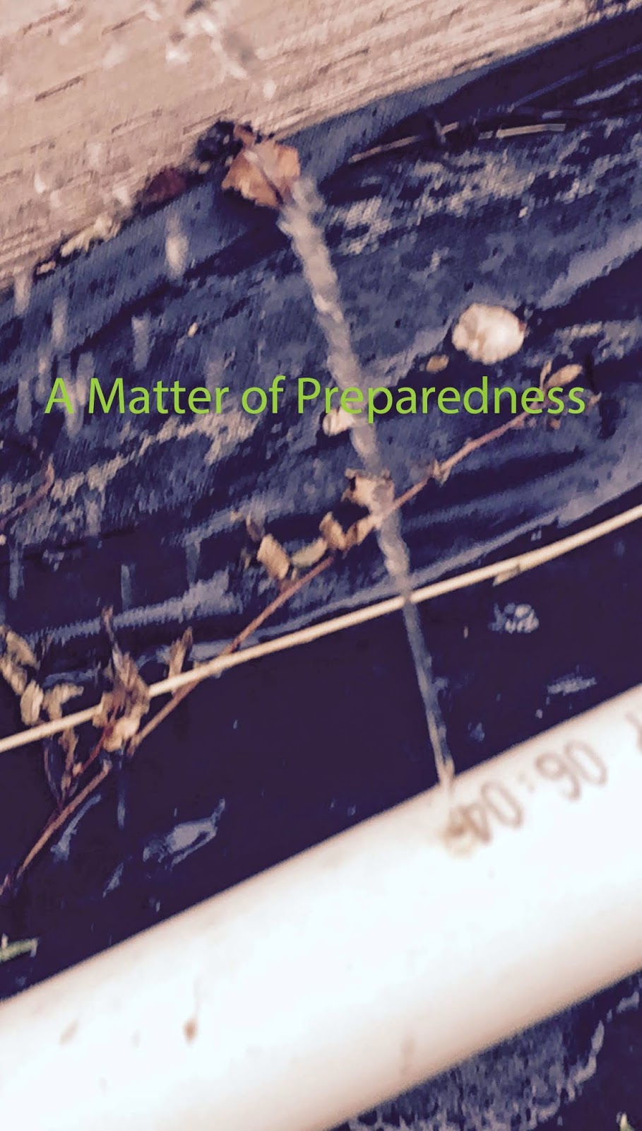 Watering the Garden, A Matter of Preparedness