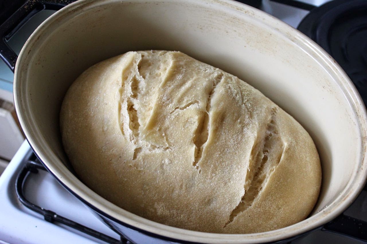 Green Gourmet Giraffe Celia's overnight sourdough bread step by step