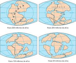 tema 8. Deriva continental y tectonica de placas Pangea+2