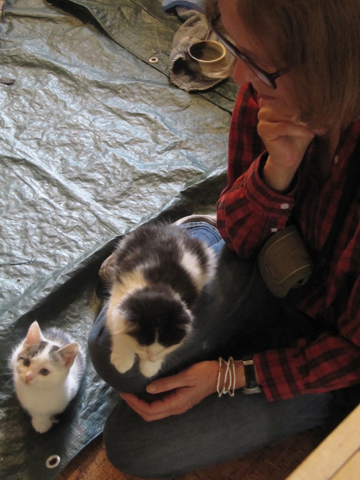 Ed and Reub Picking the kitten