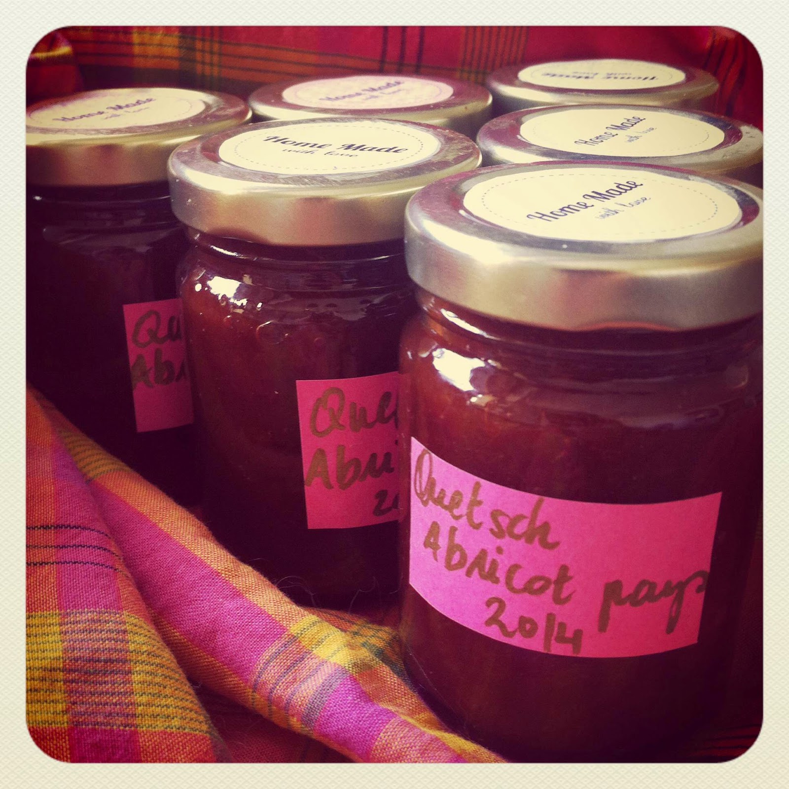 rencontre aux antilles