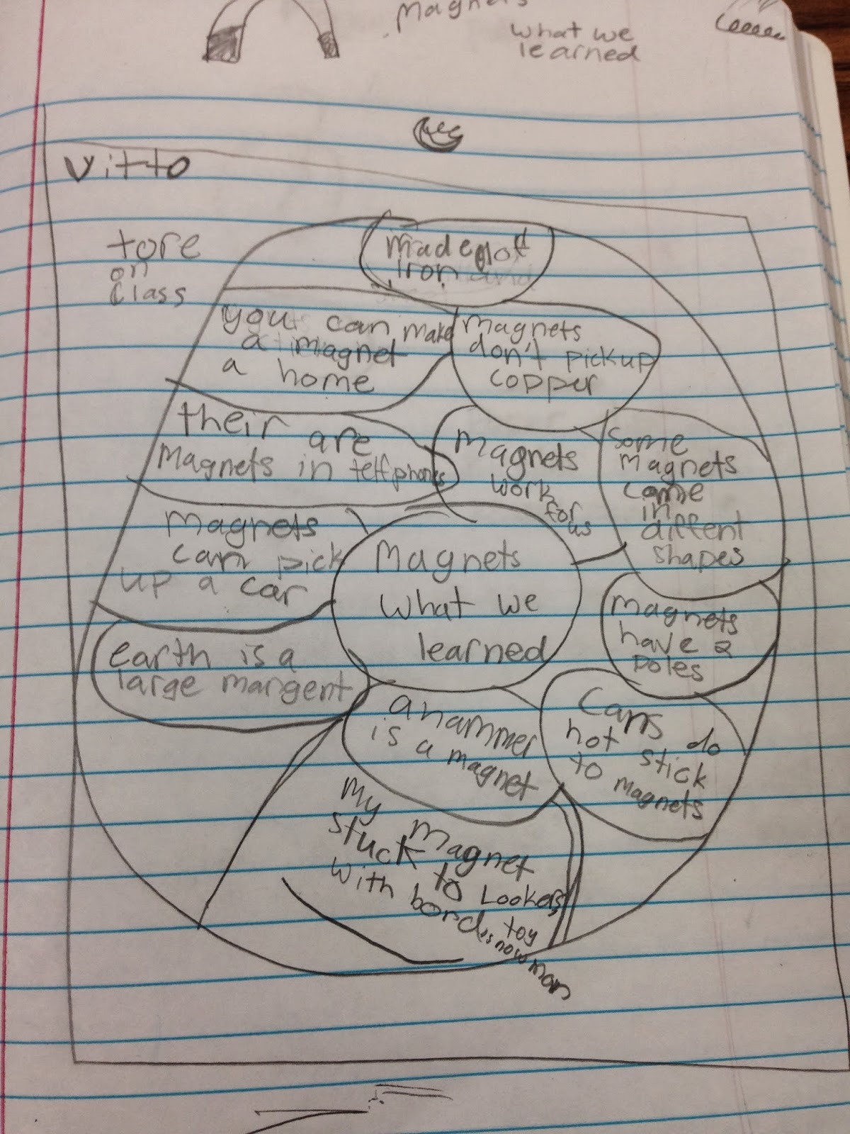 Mrs. MeGown's Second Grade Safari: MAGNETS + 2nd Graders = FUN!