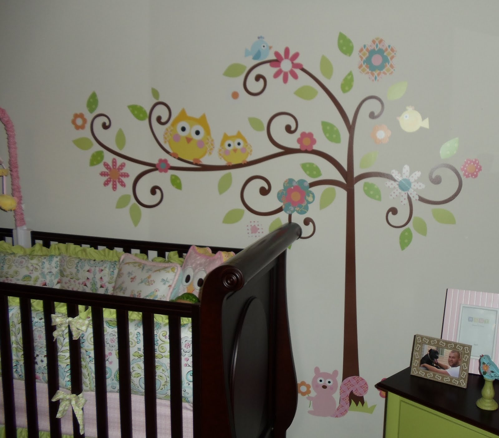 Greenville Baby Love Bird Nursery