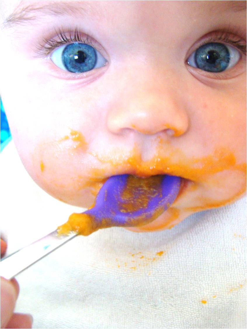 Family Feedbag First foods Baked yams