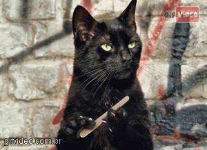 gif-animado-gato-lixando-a-unha.gif