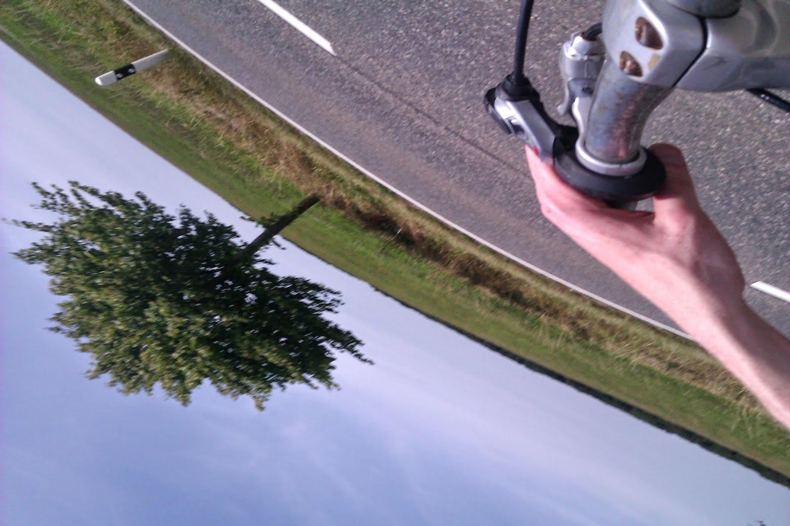 World turned around Tree bike