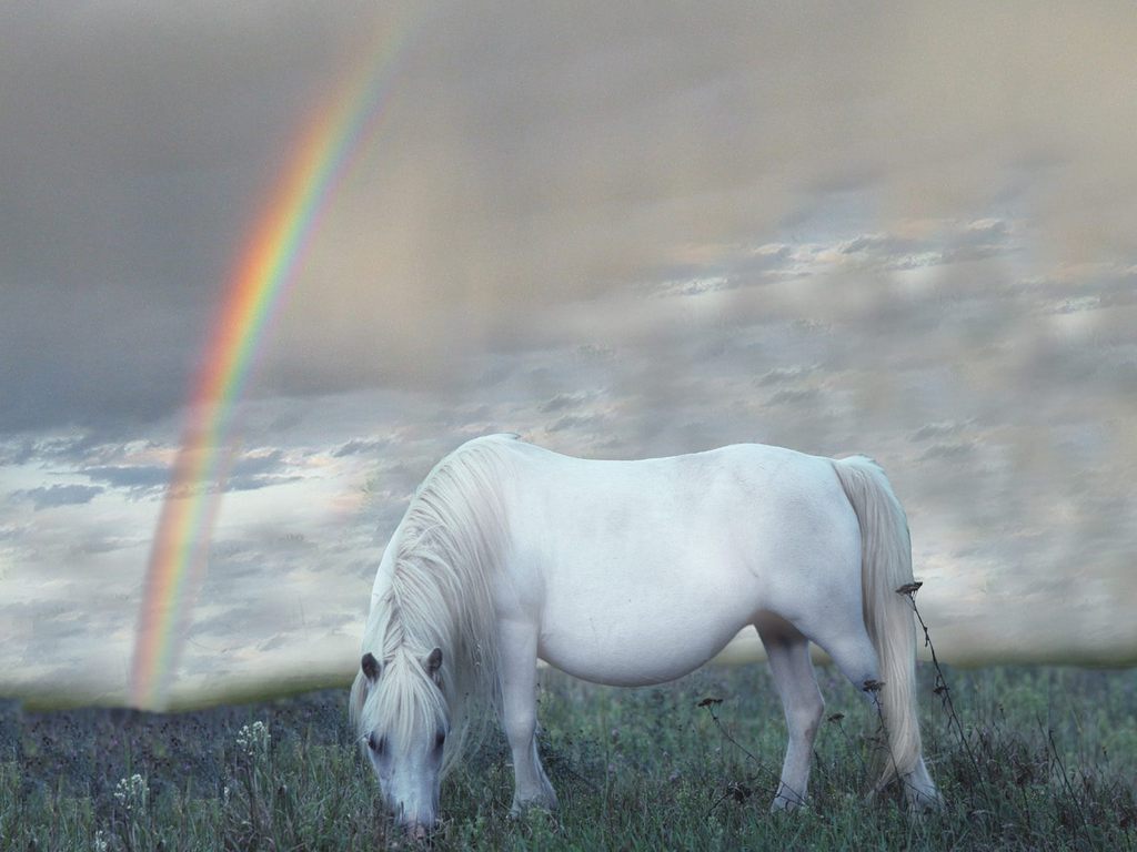 White Wolf Beautiful White Horses ( Mythology Photos)