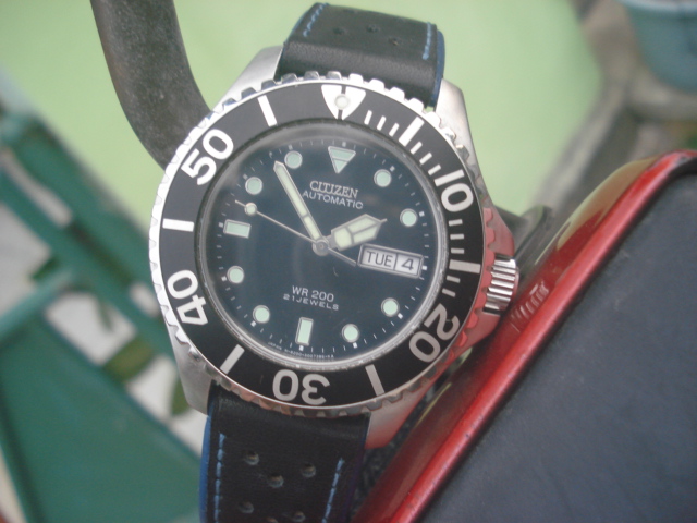 citizen dolphin diver