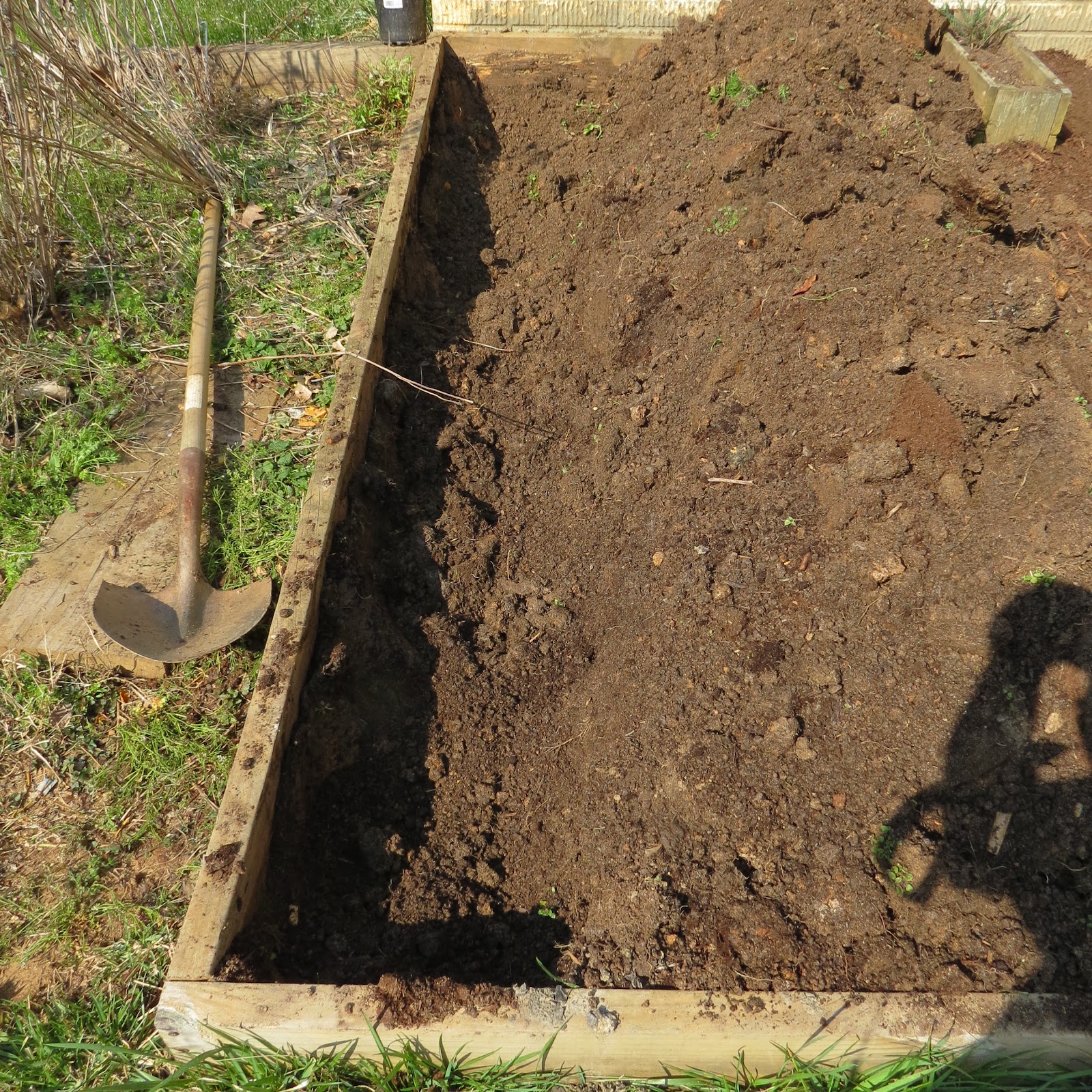 The Rusted Vegetable Garden