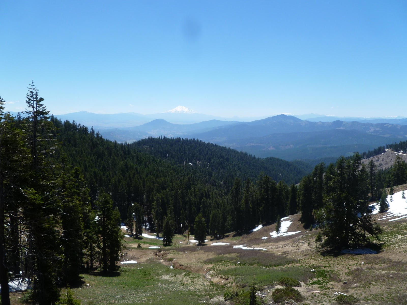 On the Road to Abigail's Mt. Ashland