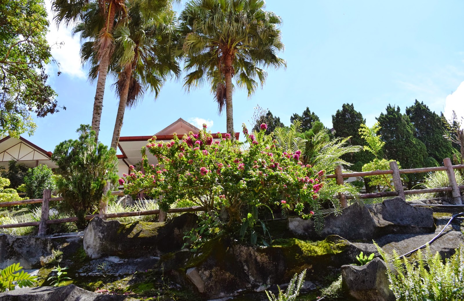 Dauntless Journey Zen Garden Hotel Kundasang, Sabah