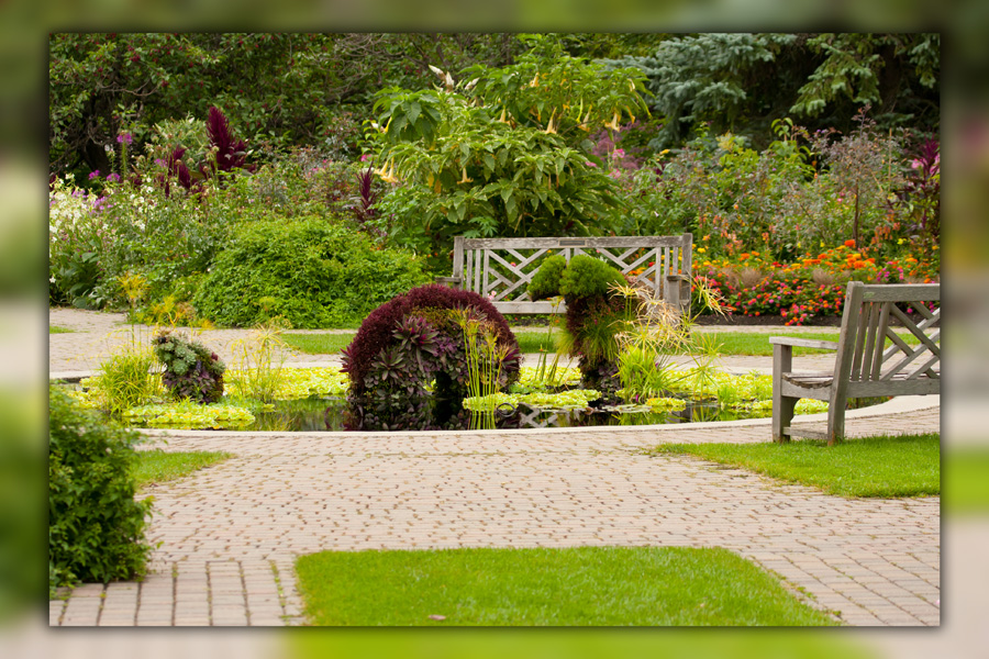 Ruth's Photo Blog: The English Gardens