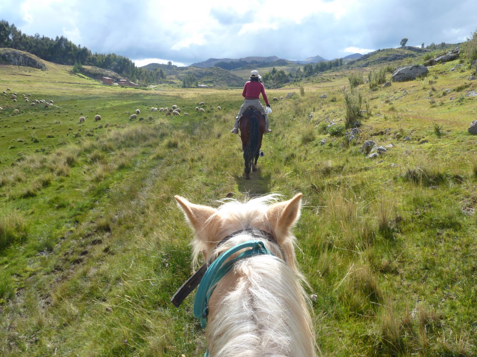 Sew Much Sunshine [to the square inch] Cusco Zoo Pics & Horseback Riding