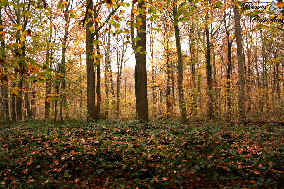 Das Blog Photos Hannover