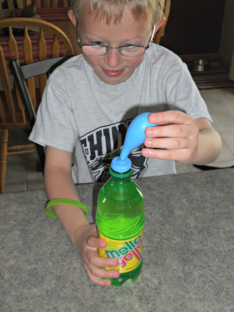 crazylou: Super Cool Science Project