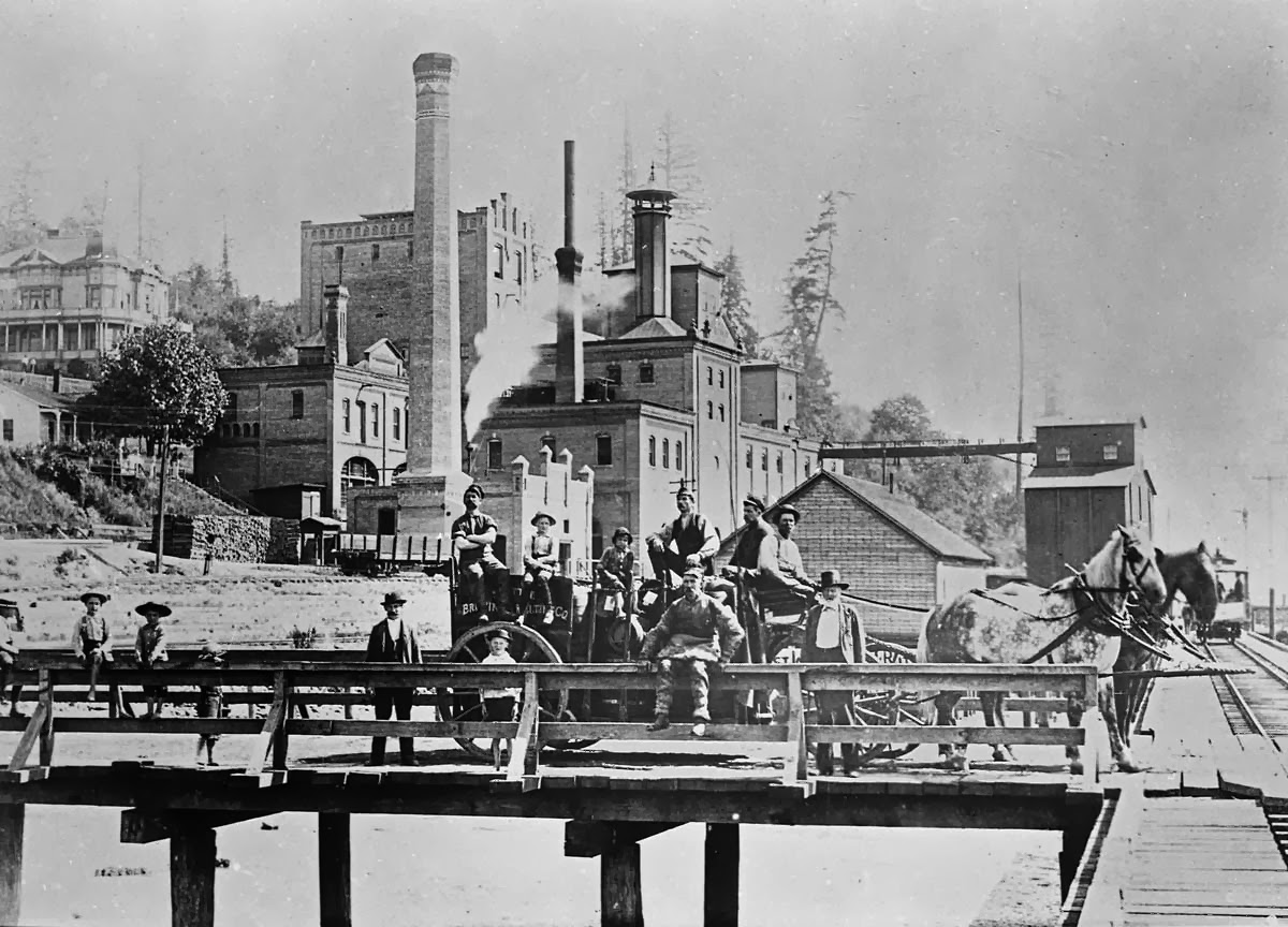 Exclusive  Offer WASHINGTON BEER Collectible STICKER TWELVE STRING