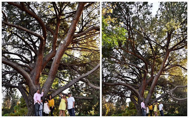 Family photos in fullerton