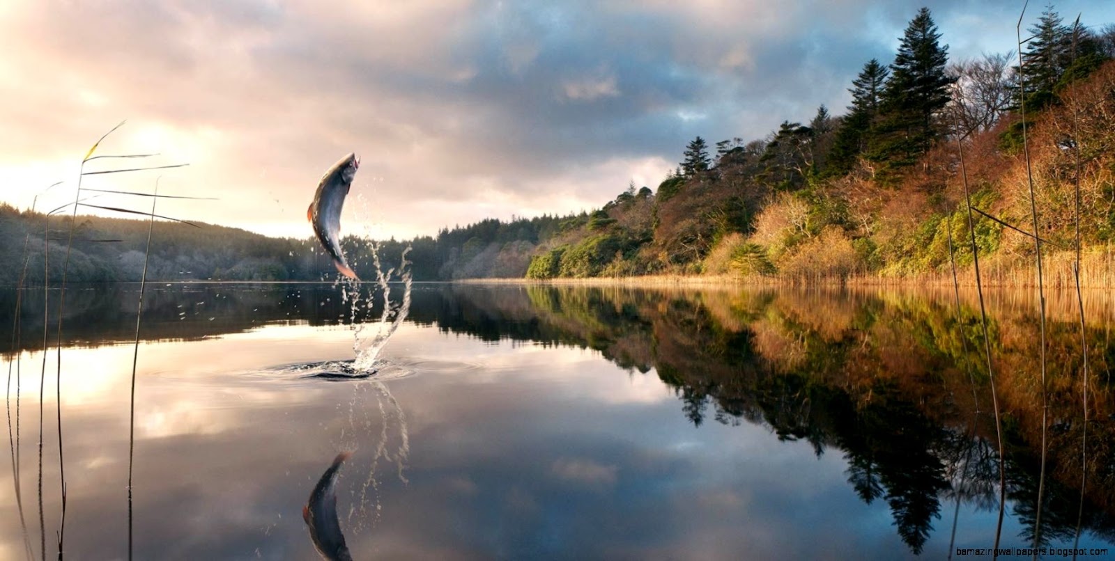 fishing wallpapers WallpaperUP fishing wallpapers WallpaperUP
