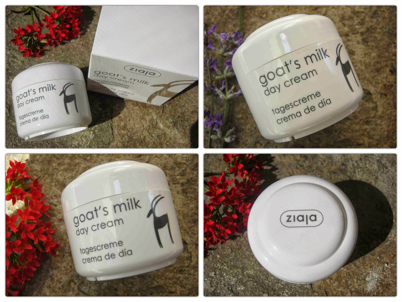 Ziaja Goat’s Milk Day Cream Thingamyjic