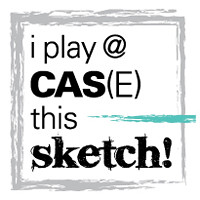 Case this sketch!