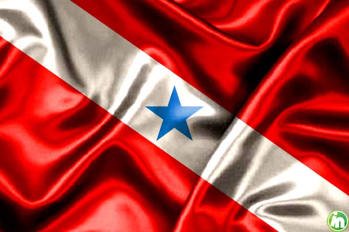 Almanaque Da Cronica Brilhou De Novo A Estrela Do Para