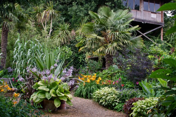 paradis express: The Exotic Garden Blog